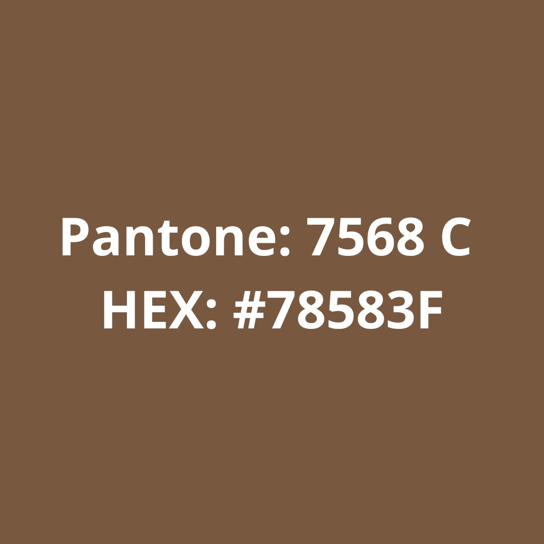 Filamento PLA Bronze 1,75mm 5