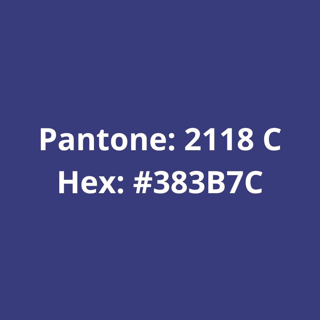 Filamento PETG XT Roxo Titânio 1,75mm 4